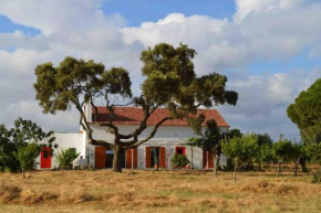 Villa - Cottage - Herdade da Fonte das Três portas